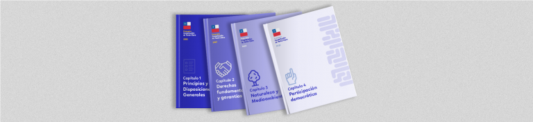 Gráfica en la que aparecen cuatro libros, cada uno de ellos con distintos tonos de azul en el que sale la bandera de Chile junto a diferentes títulos. En el primer libro sale el texto "Propuesta de Constitución en Texto Claro. 2022. Capítulo 1 Principios y disposiciones generales". En el segundo libro sale el texto "Propuesta de Constitución en Texto Claro. 2022. Capítulo 2 "Derechos fundamentales y garantías". En el tercer libro sale el texto "Capítulo 3 "Naturaleza y Medio Ambiente".En el cuarto libro sale el texto "Capítulo 4 "Participación democrática".